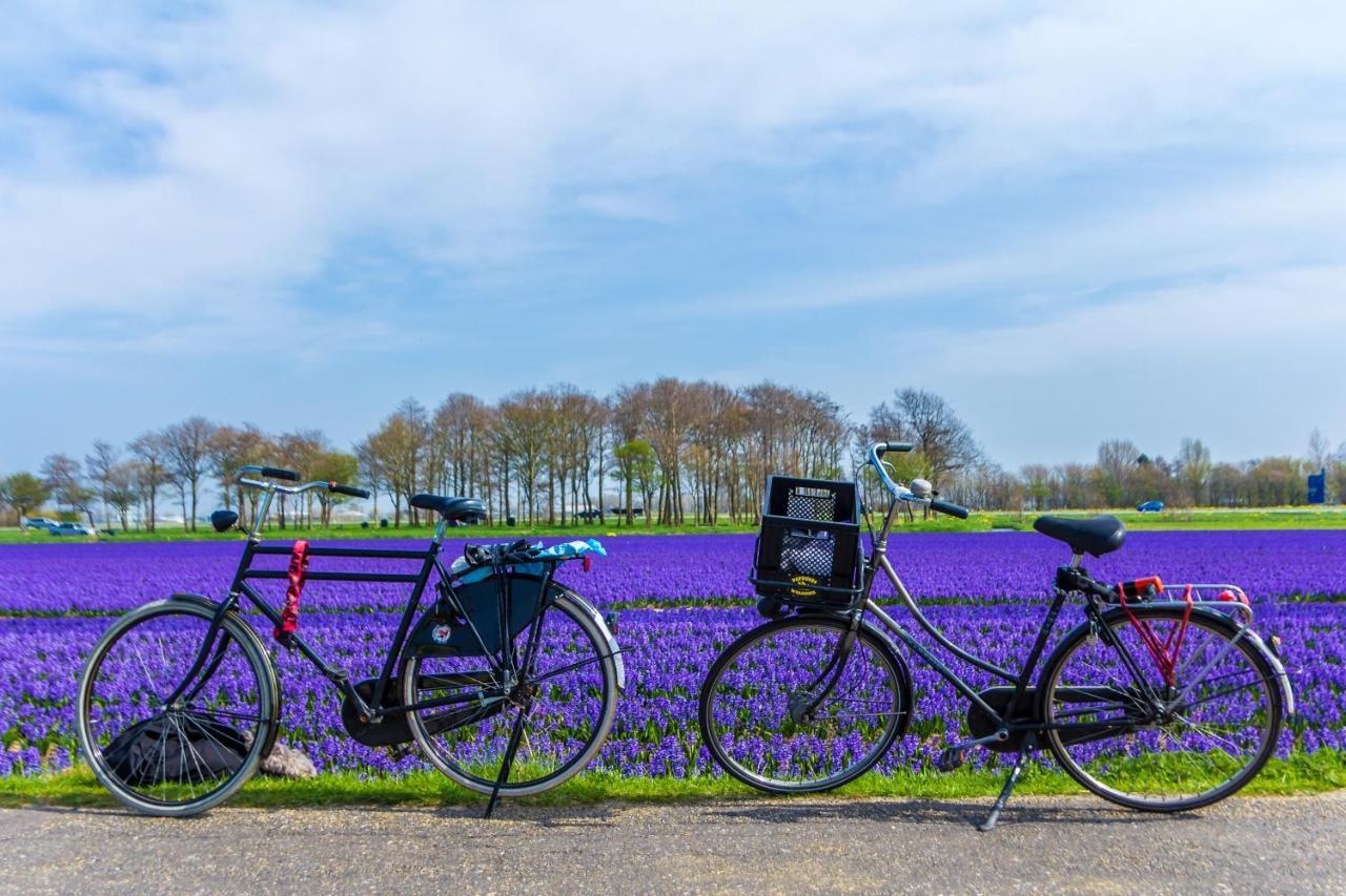 Slapen Bij De Buurvrouw Bed and Breakfast Castricum Exteriör bild